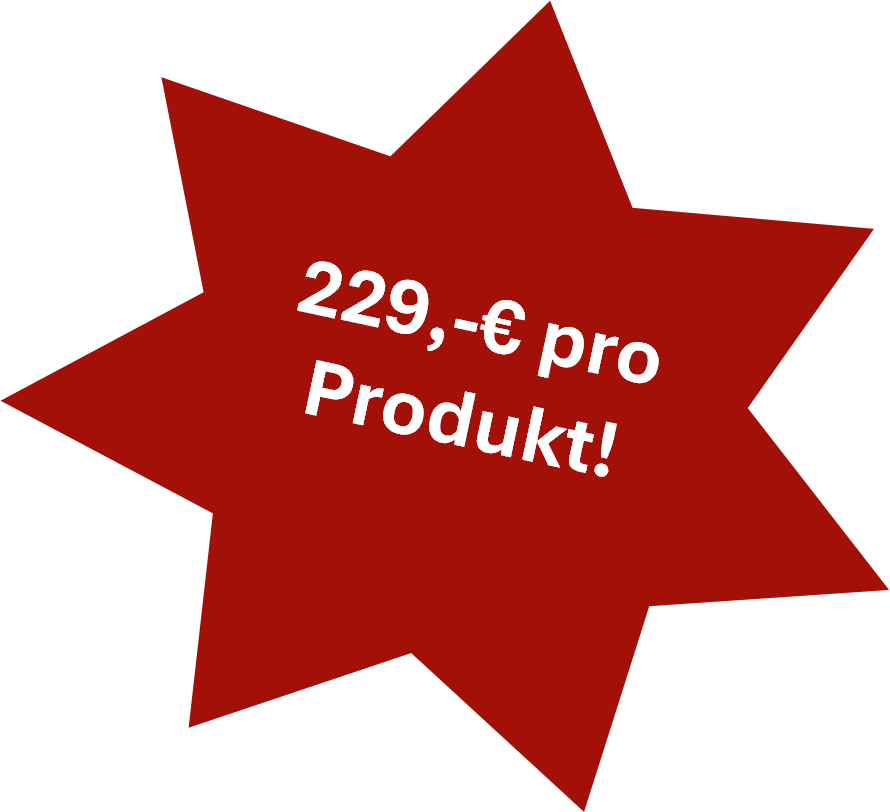 Internationalisierung USA - asseso AG