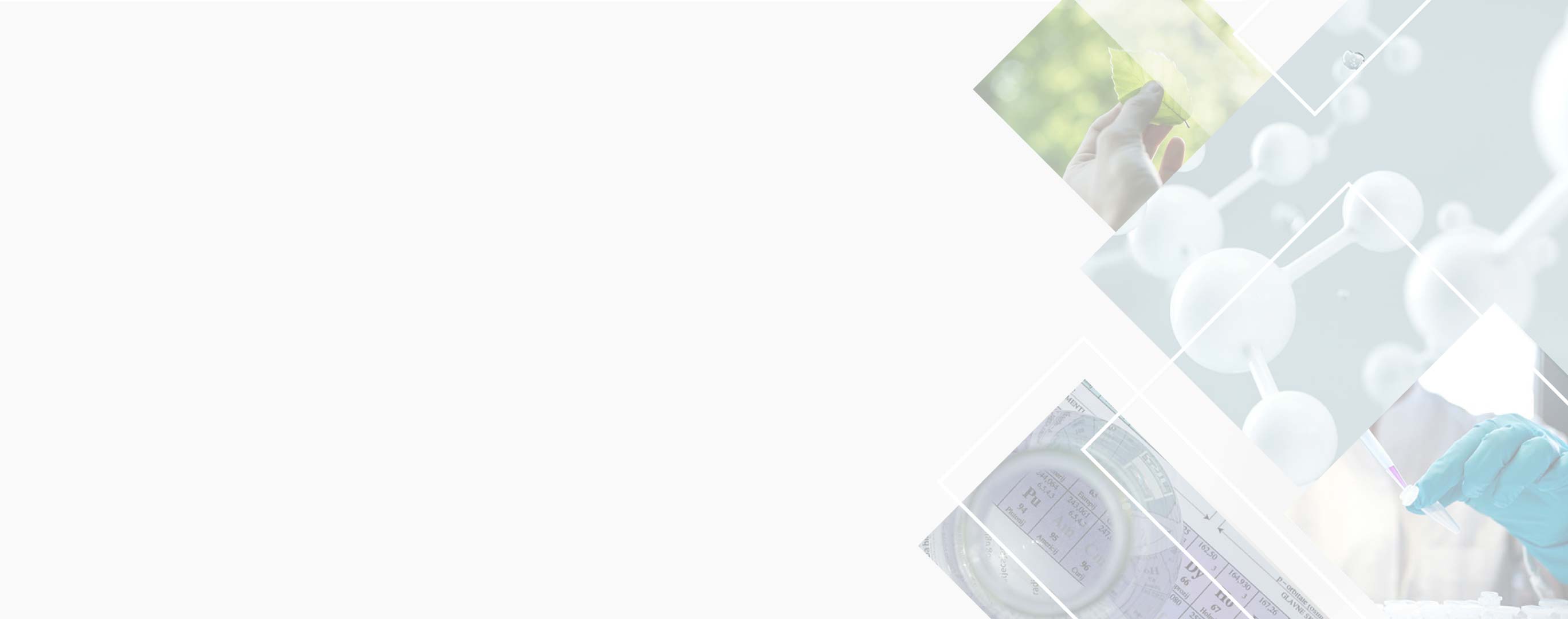 asseso AG Aschaffenburg